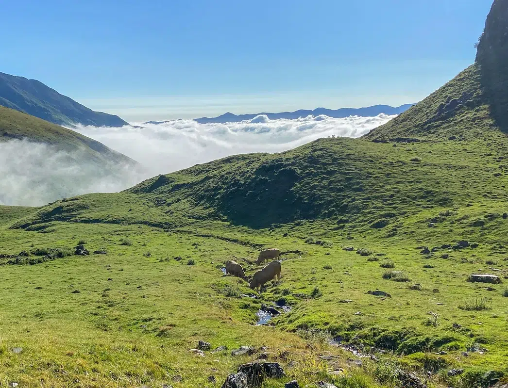camping le lustou dans les hautes pyrenees au coeur des montagnes